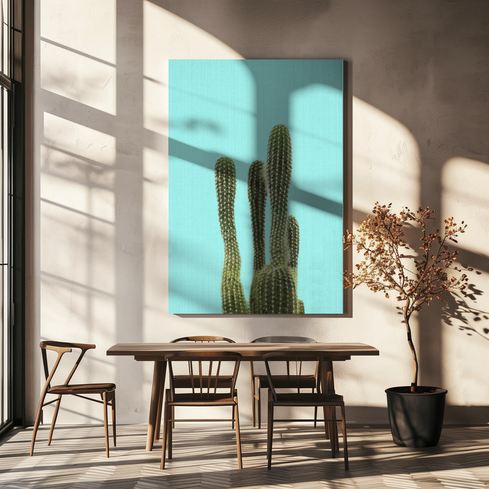 Turquoise Cactus | Canvas