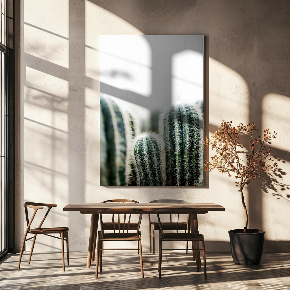 Cactus 1 | Canvas
