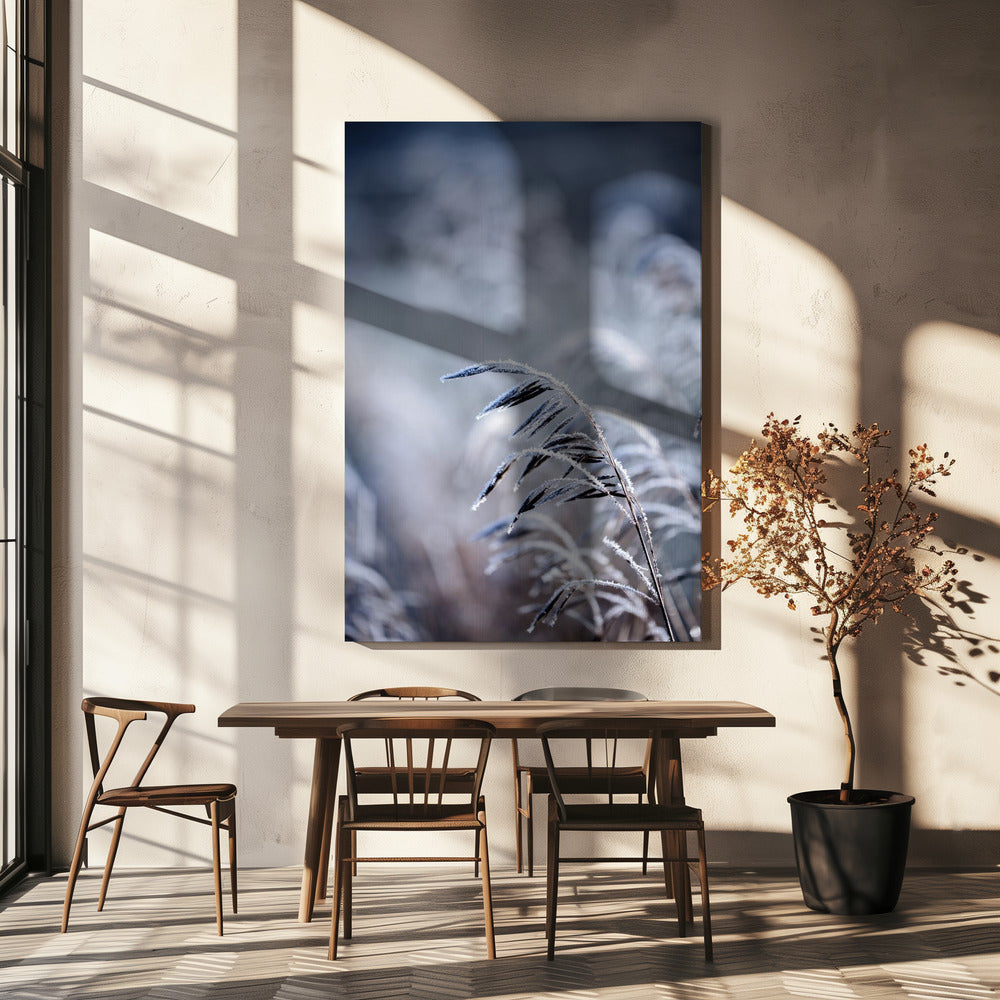 Frosty Morning 5 | Canvas