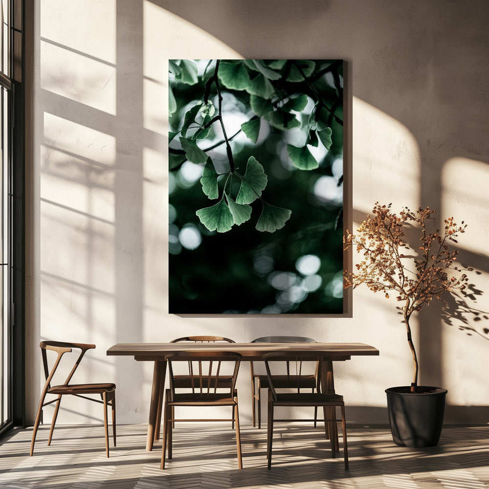 Ginko 1 | Canvas