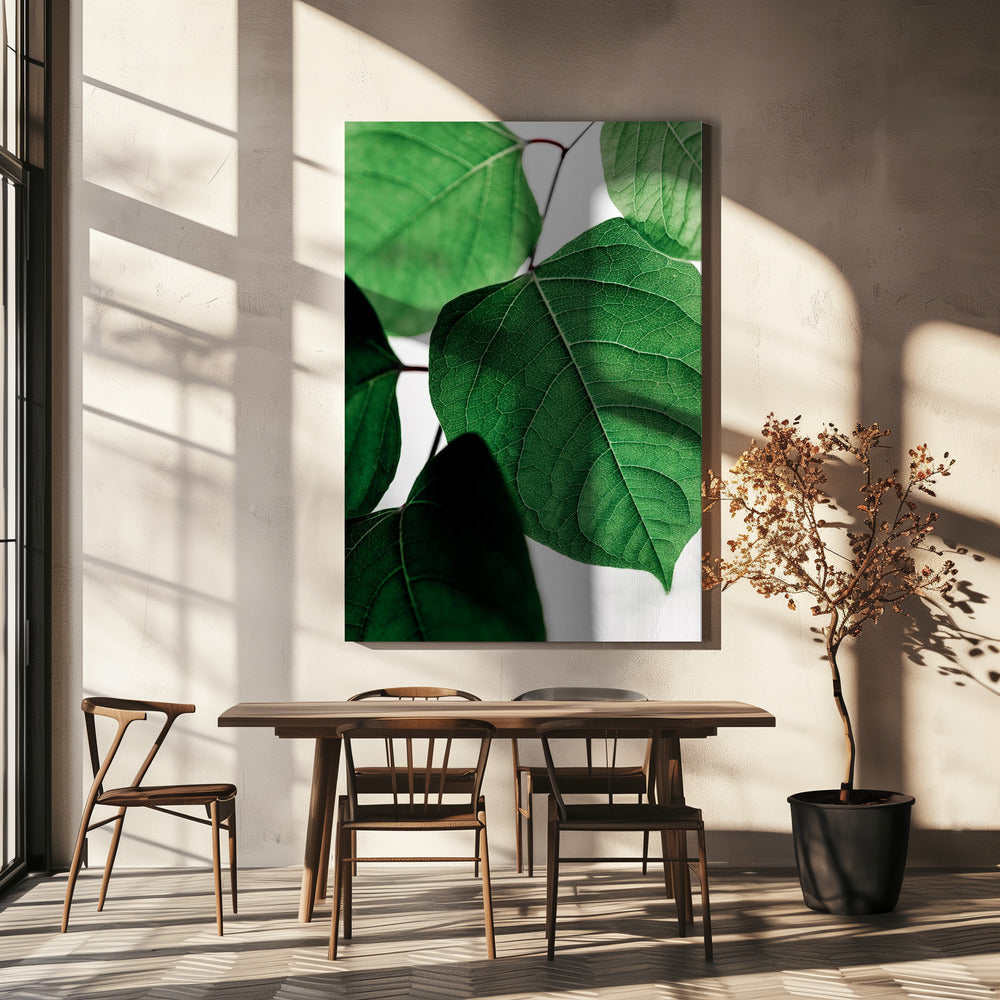 Summer Branches 2 | Canvas