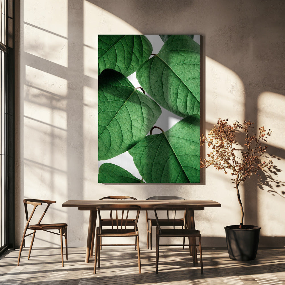 Summer Branches | Canvas