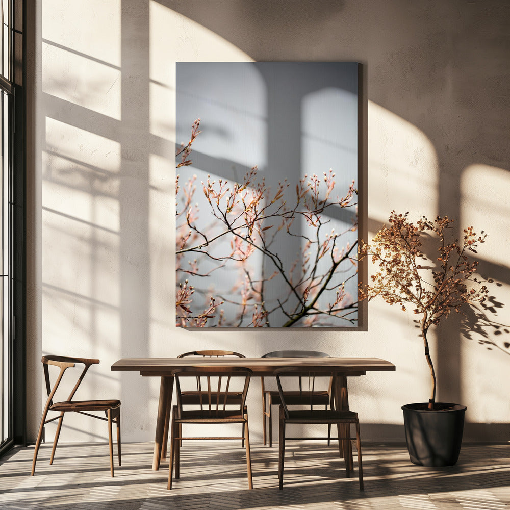 Unknown 11 | Canvas