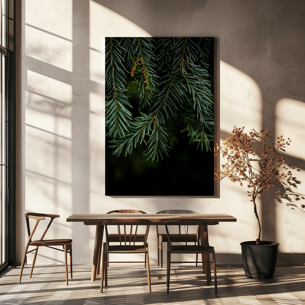 Winter Branches 7 | Canvas