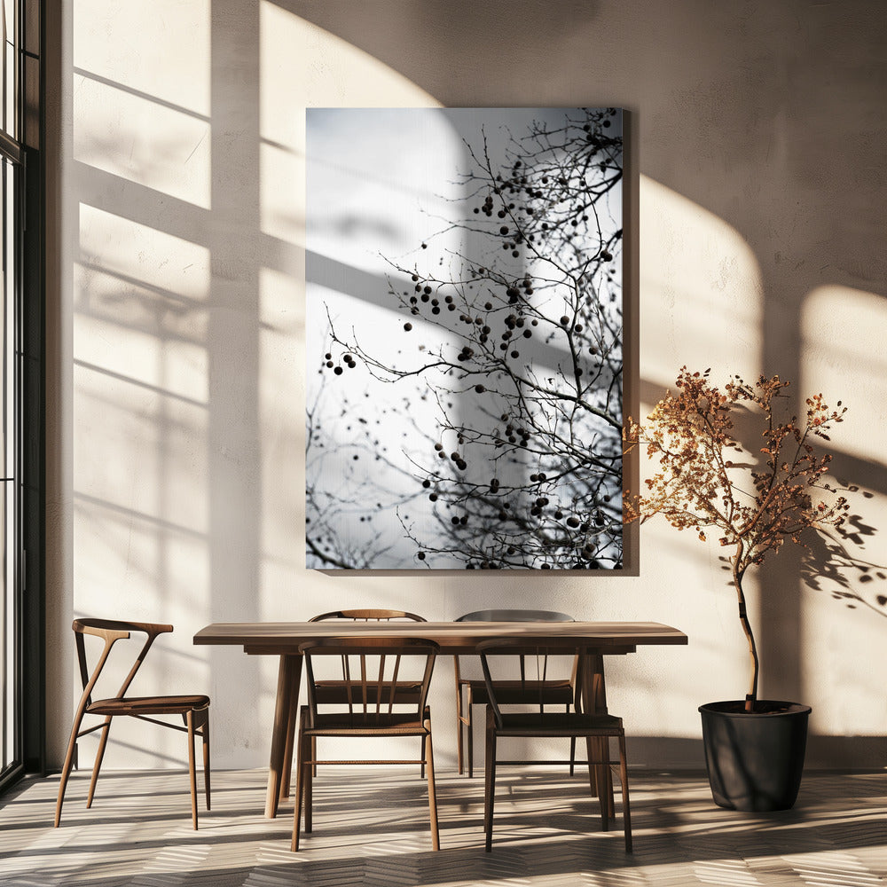 Winter Silhouettes 6 | Canvas