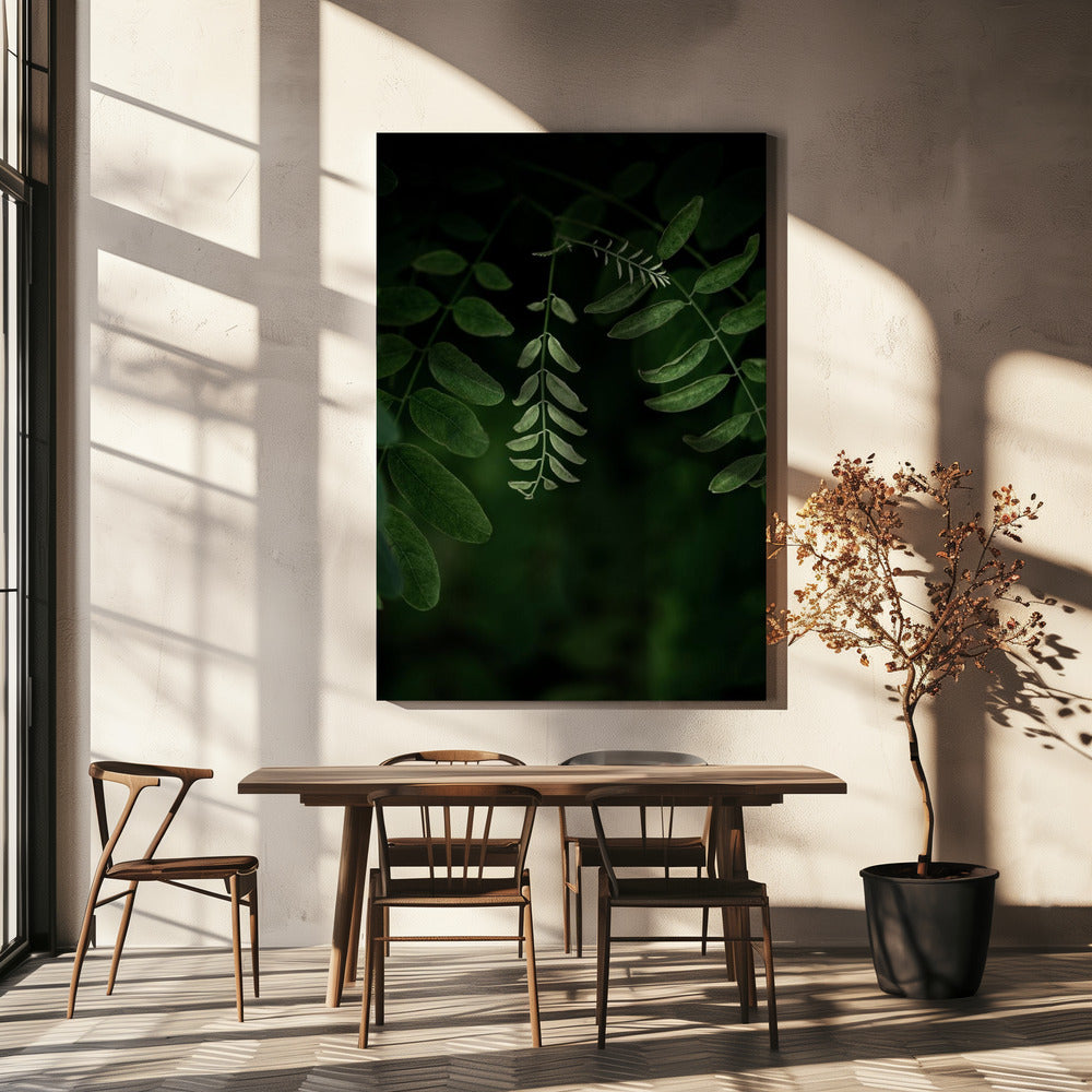 Dark Leaves 17 | Canvas