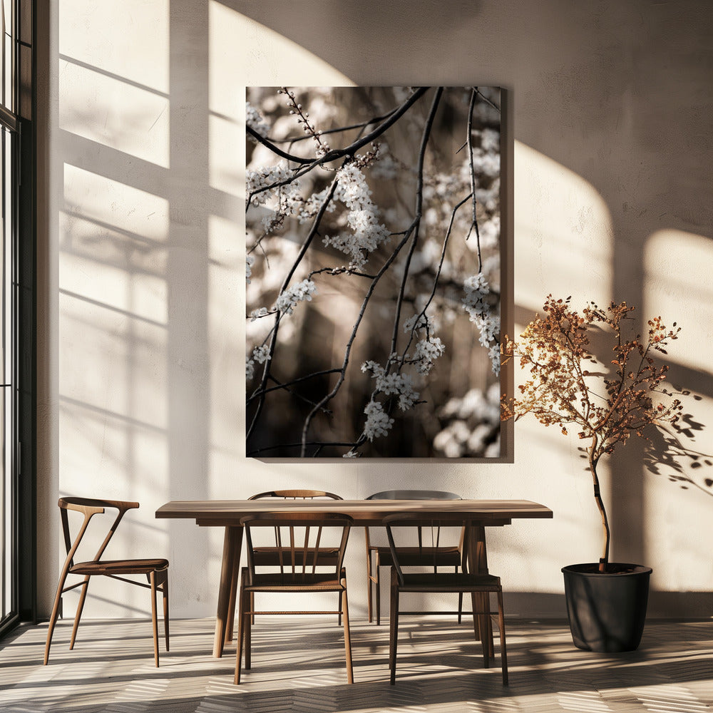 Spring Branches 1 | Canvas