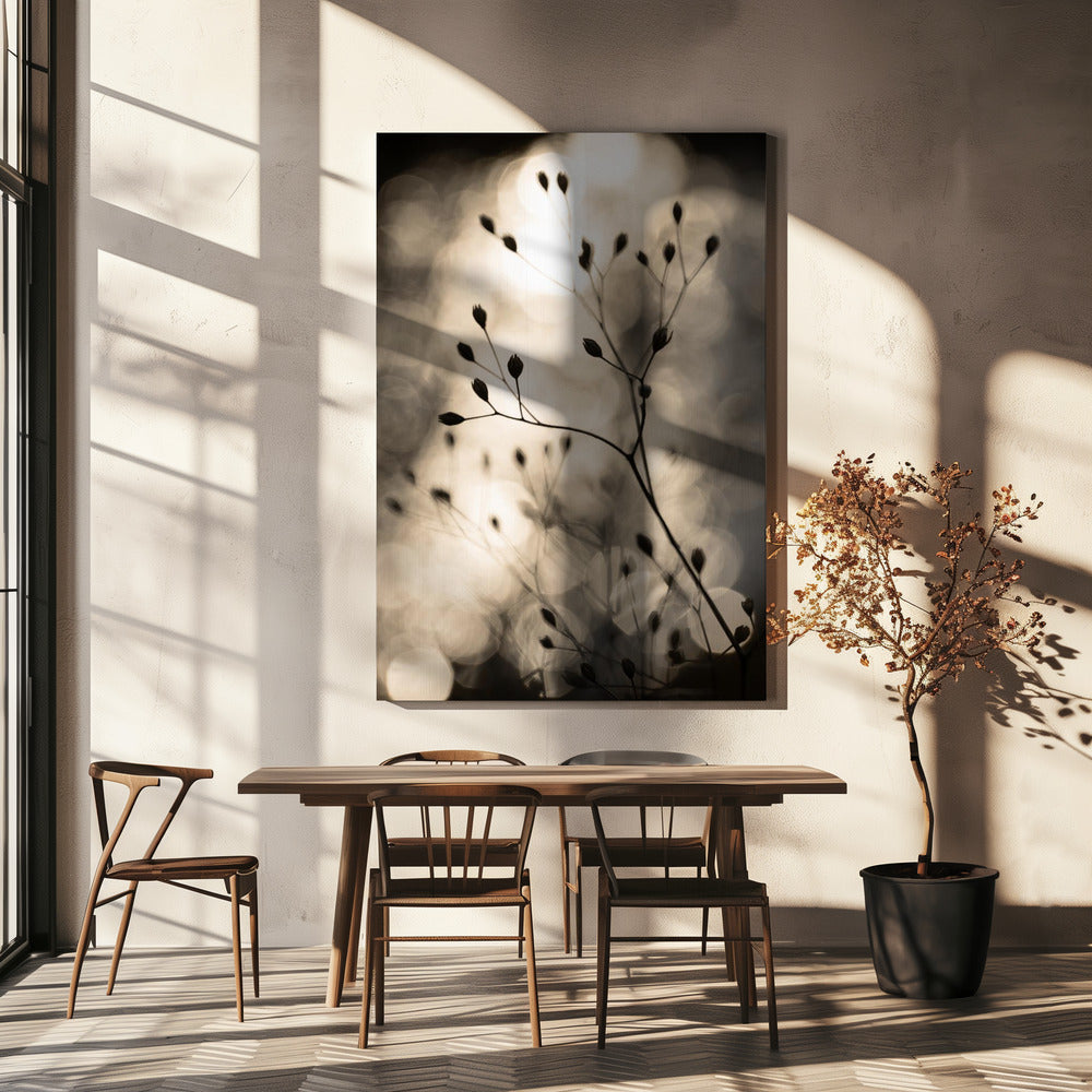 Sun Silhouettes 1 | Canvas