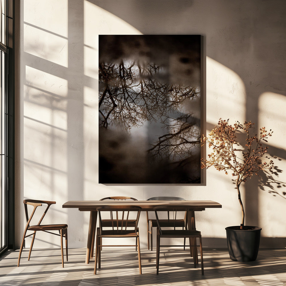 Winter Reflections | Canvas