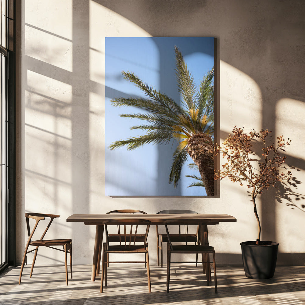 Vejer de La Frontera Palm Tree | Canvas