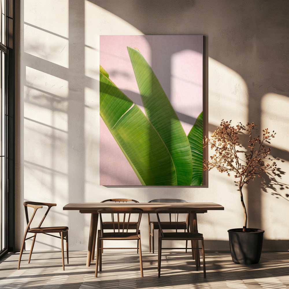 Merida Green on Pink | Canvas