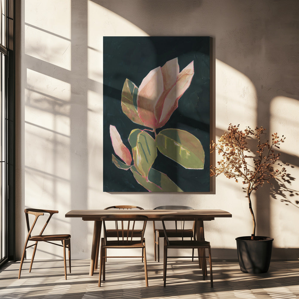 Magnolia in dark background | Canvas