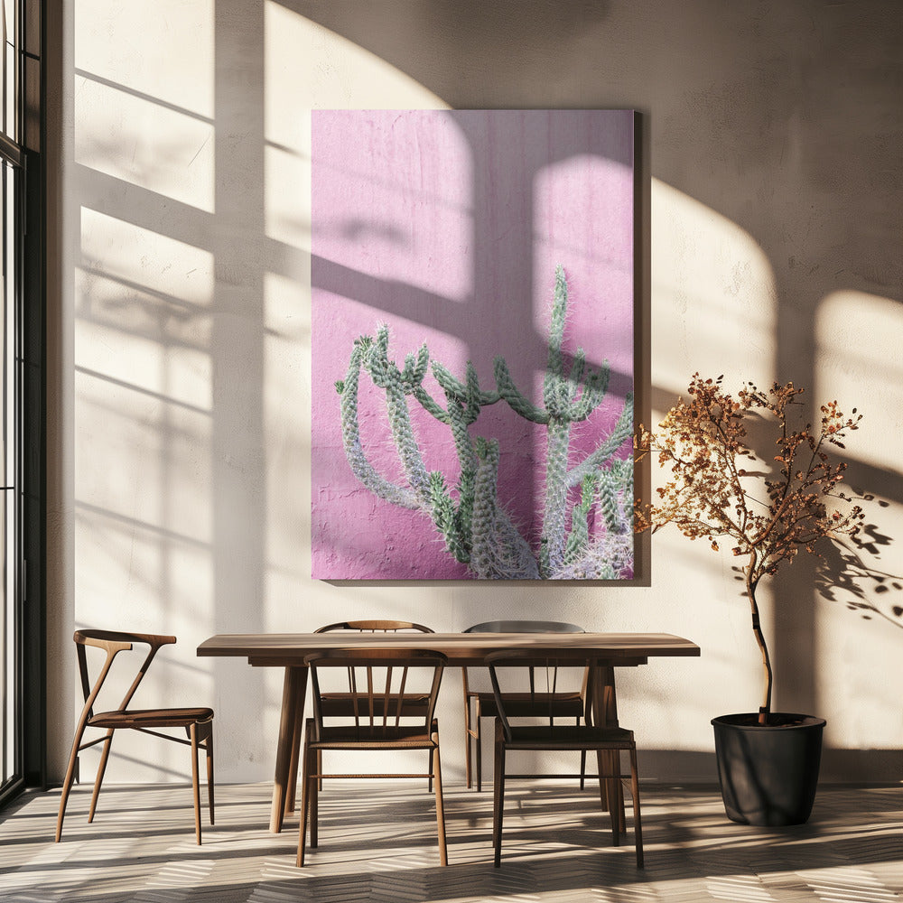 Cactus On Pink | Canvas