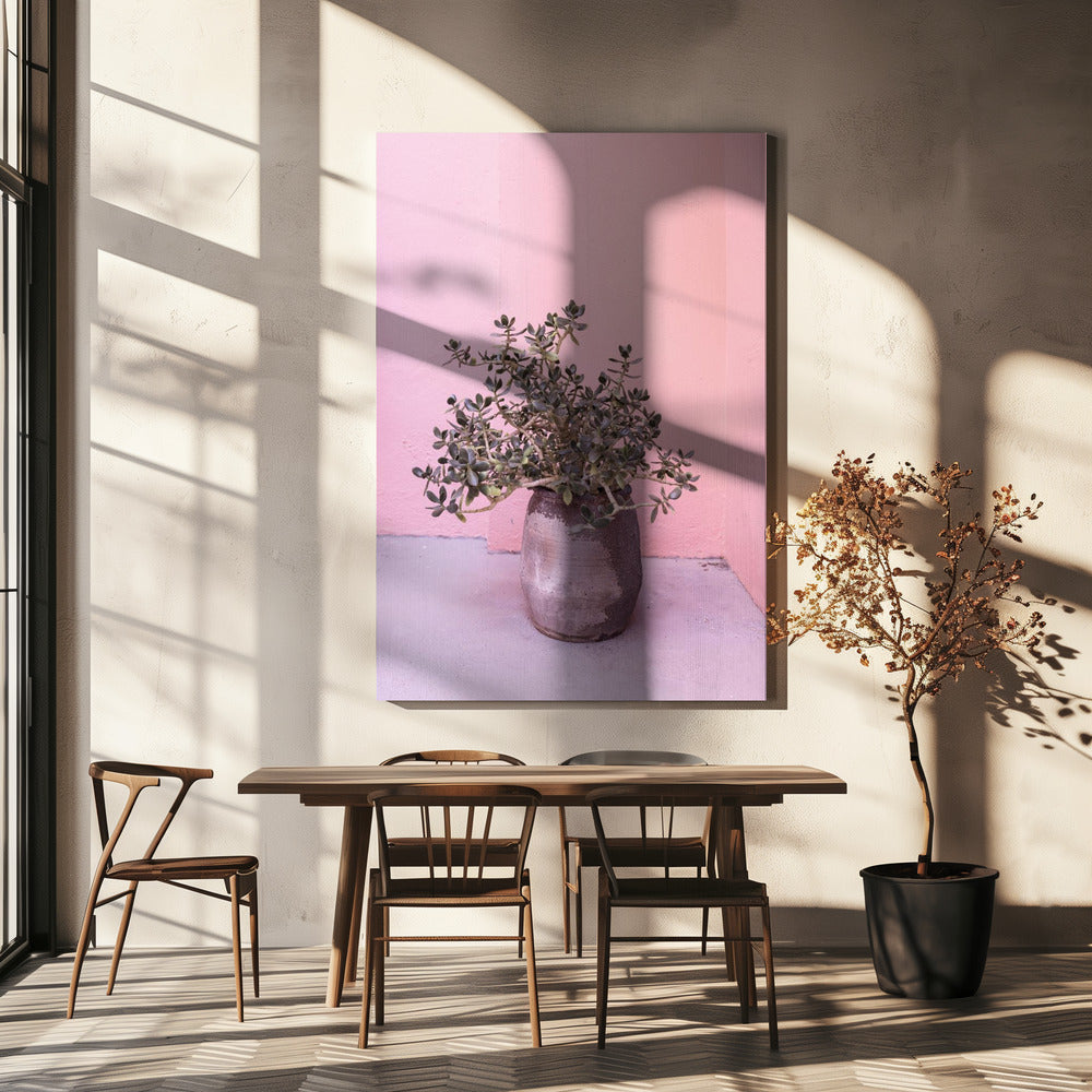 Spanish Rustic Succulent | Canvas