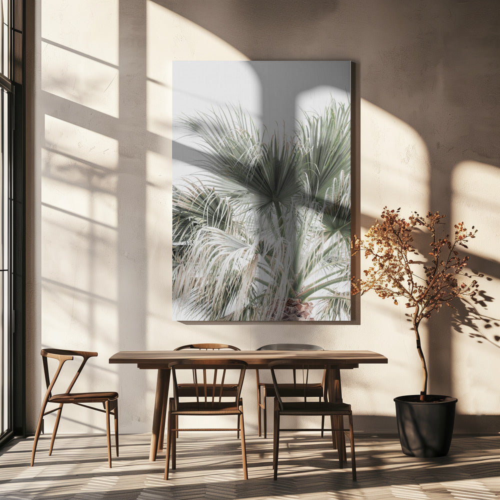 Palm Leaf | Canvas
