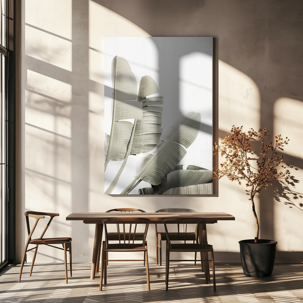 Banana leaf 2 | Canvas