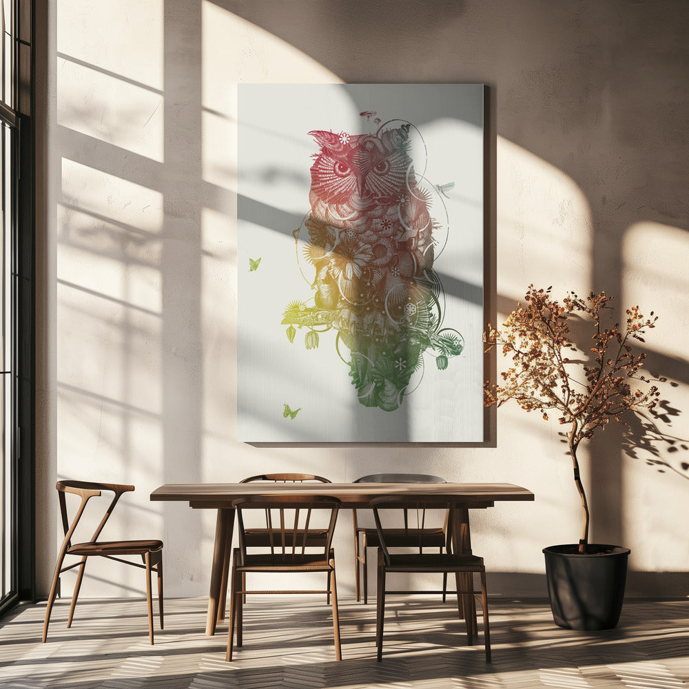 Owl | Canvas
