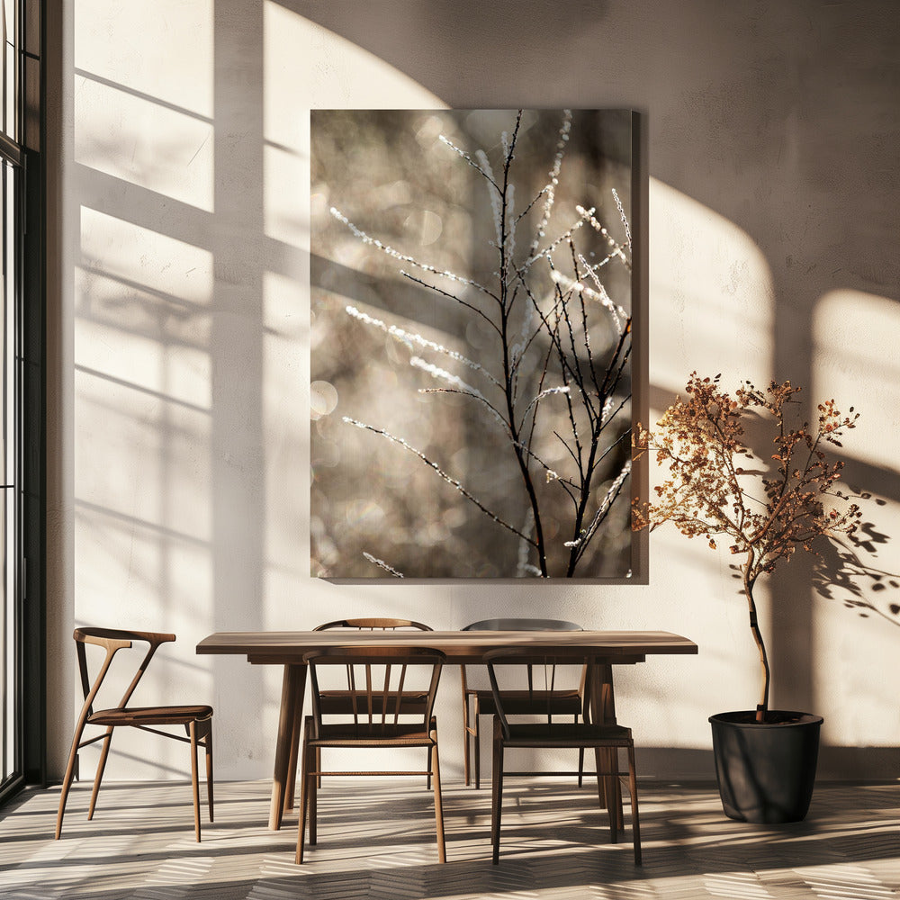 A Winter Morning 5 | Canvas