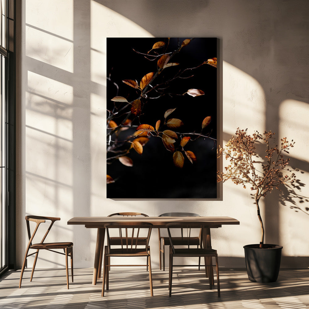 Autumn Leaves 15 | Canvas