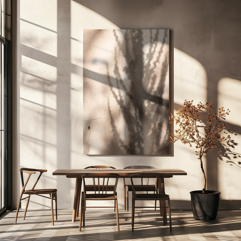 Summer Shadows 7 | Canvas