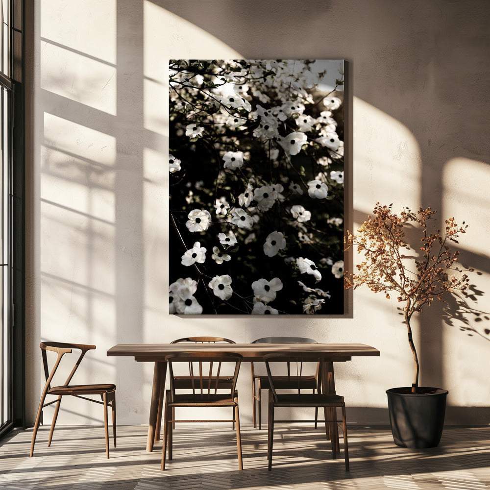 White Spring Tree 5 | Canvas