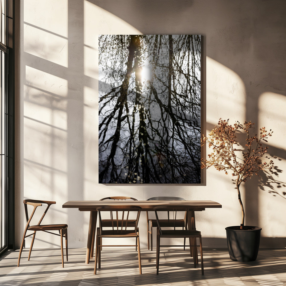 Winter Reflections 4 | Canvas
