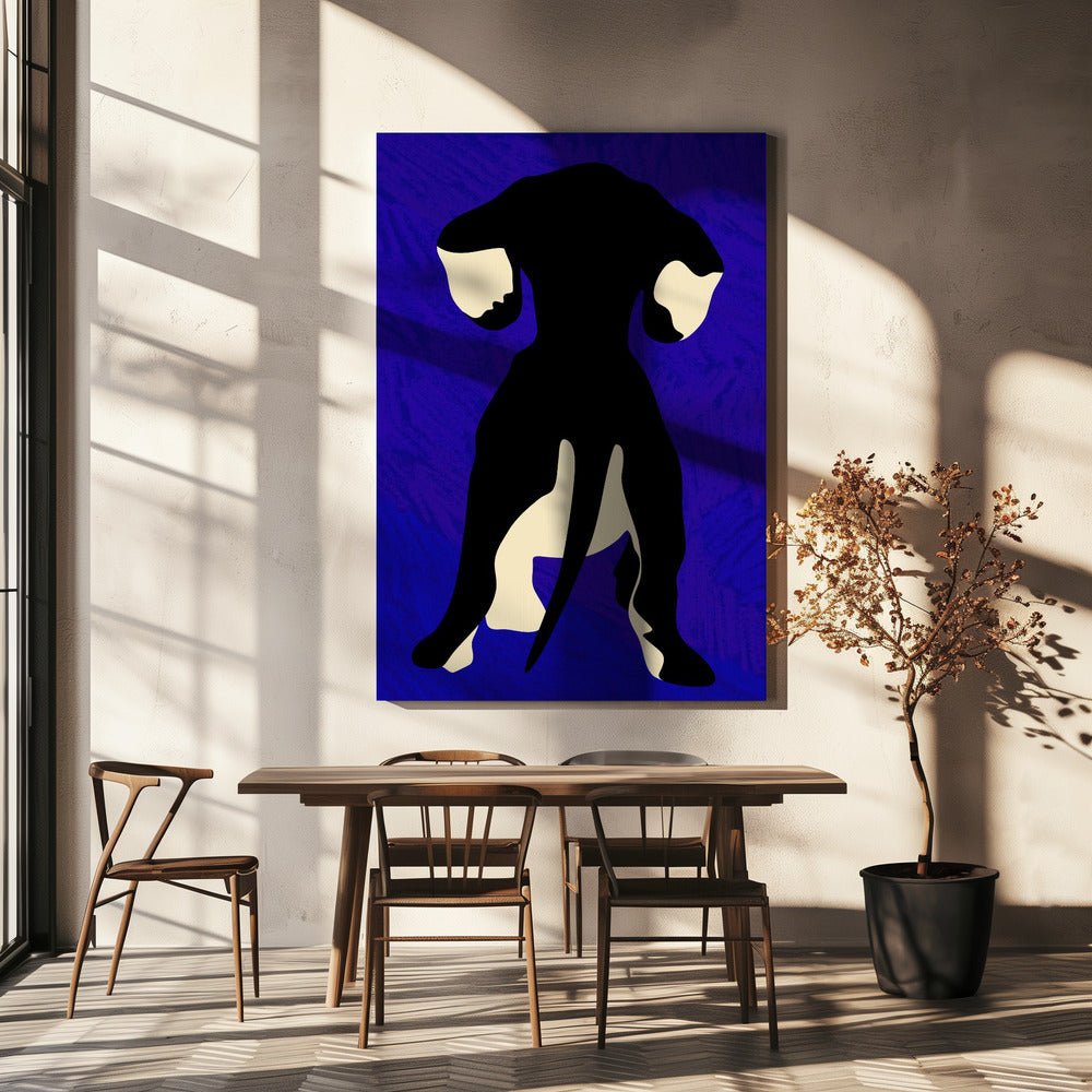Blue Backdrop | Canvas