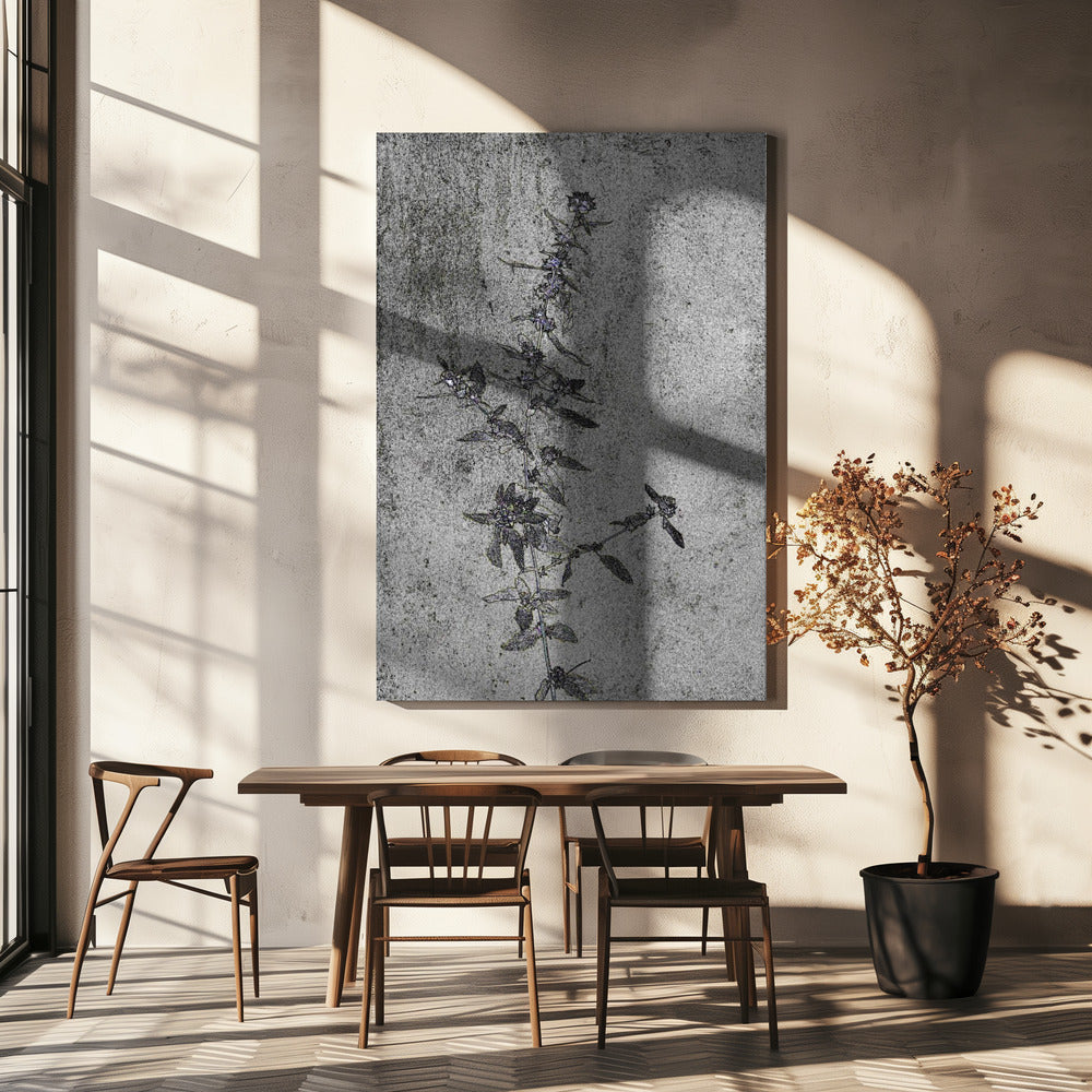 Concrete Blossoms | Canvas