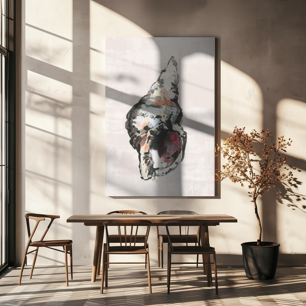 Shell Collector Art Print No 2 | Canvas