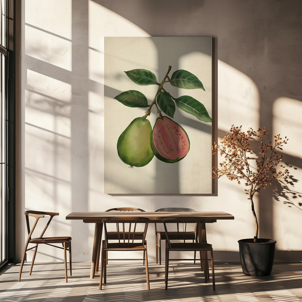 Vintage guava | Canvas