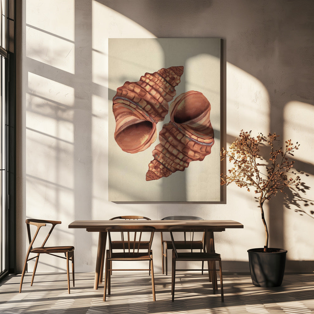 Seashell vintage | Canvas