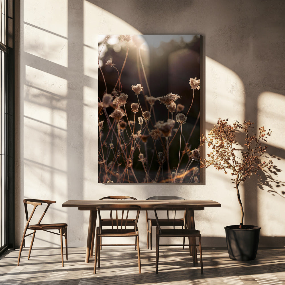 Warm Winter Light 2 | Canvas