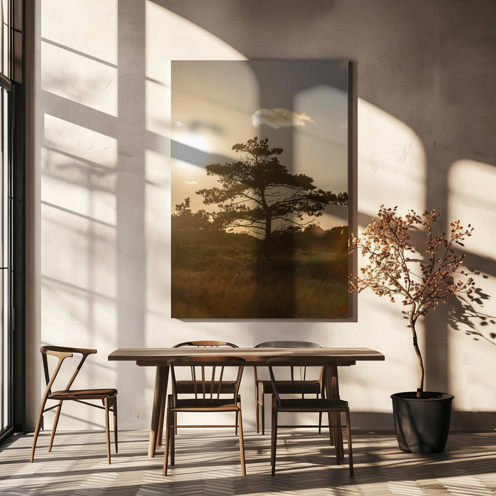 Tree In the Dunes 1 | Canvas