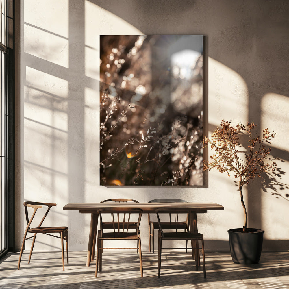 Warm Winter Light 6 | Canvas