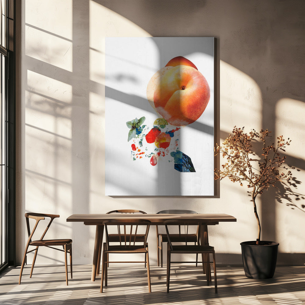 Momo_Montserrat Serra Nonell | Canvas