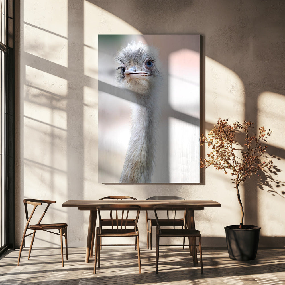 natural beauty | Canvas