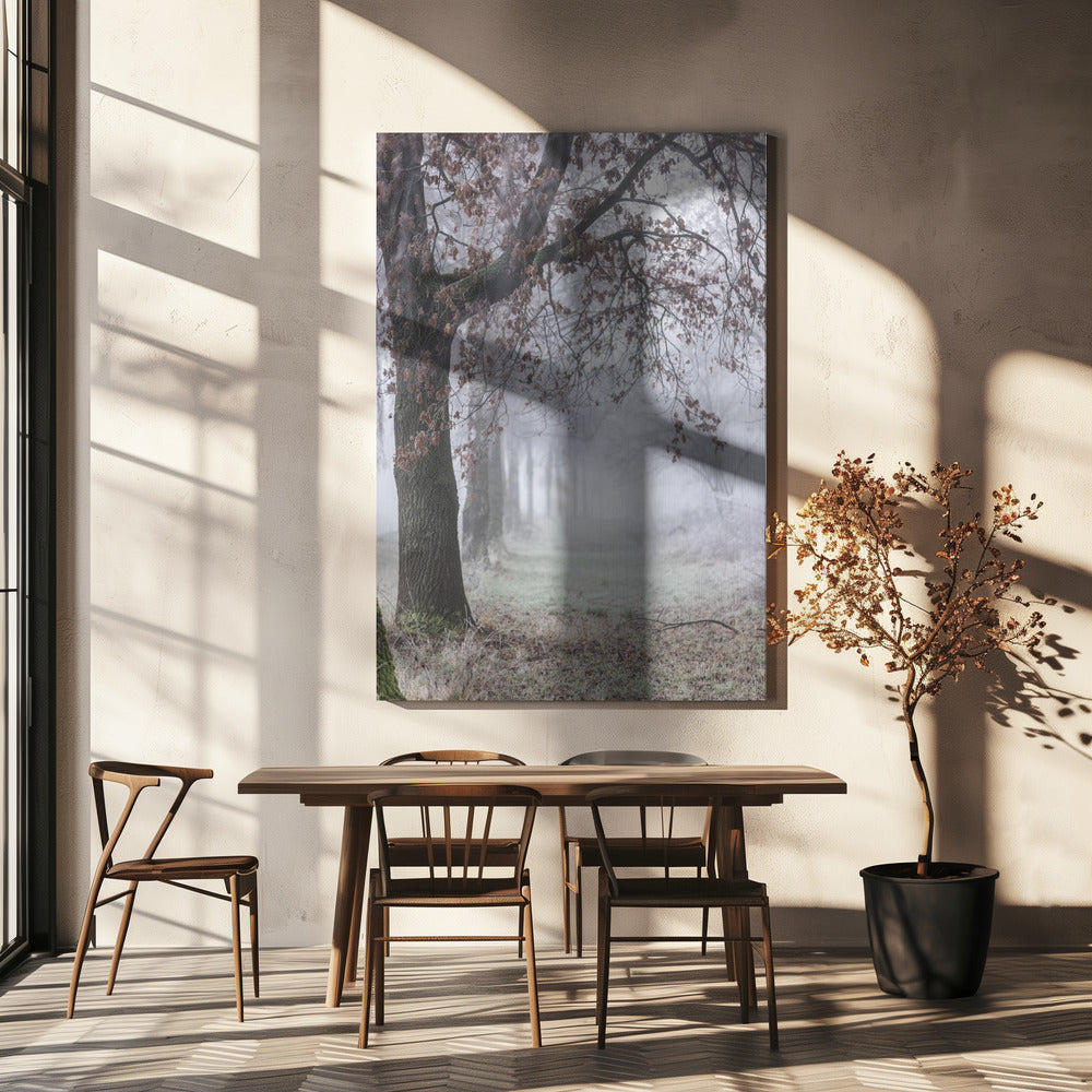 Foggy Winter Morning 3 | Canvas