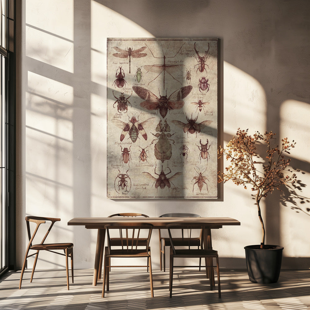 Vintage-style  Insects | Canvas