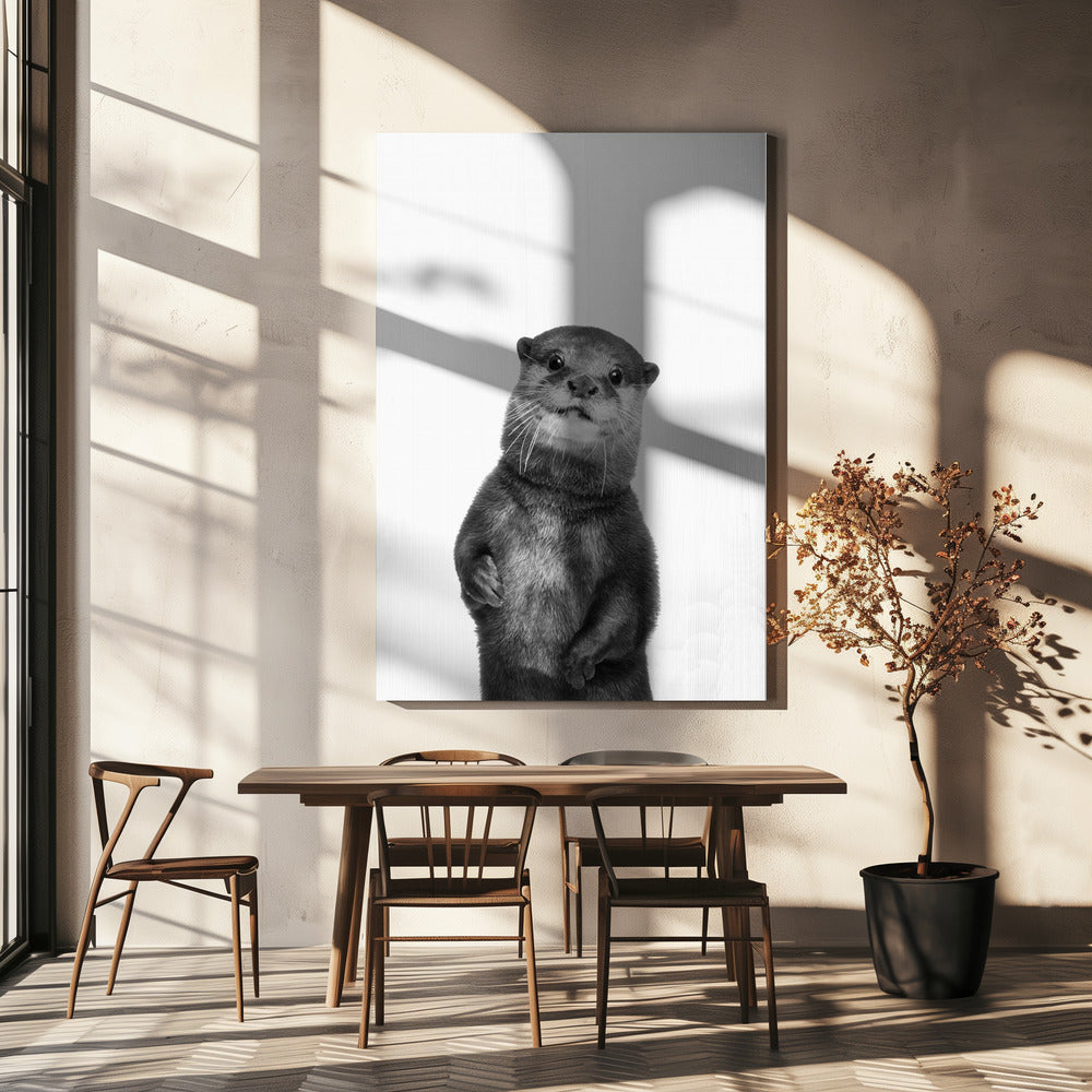 Otter | Canvas