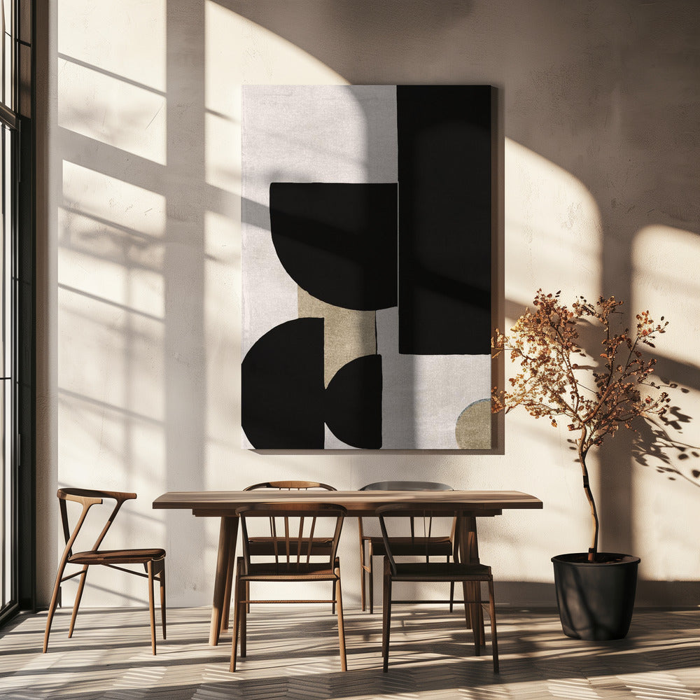 Shadow Play Forms | Canvas