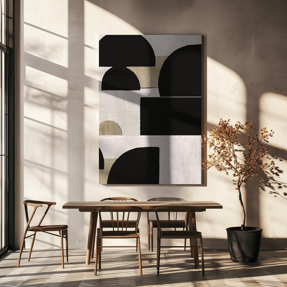 Shadow Play Forms | Canvas