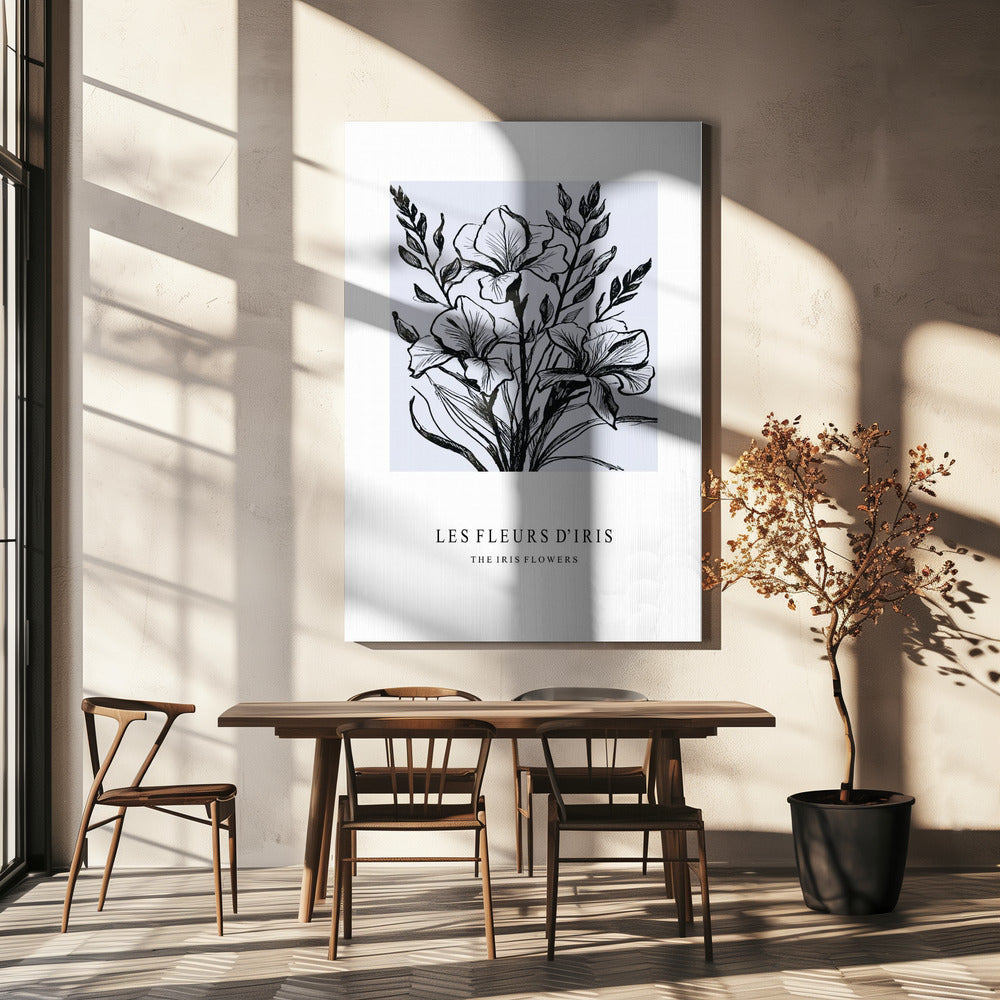 Iris Flowers In A Monochrome Illustration | Canvas