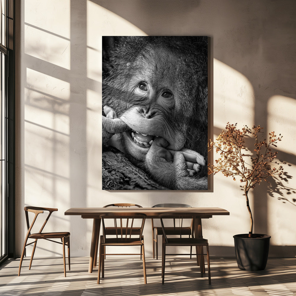 Big Smile.....please | Canvas