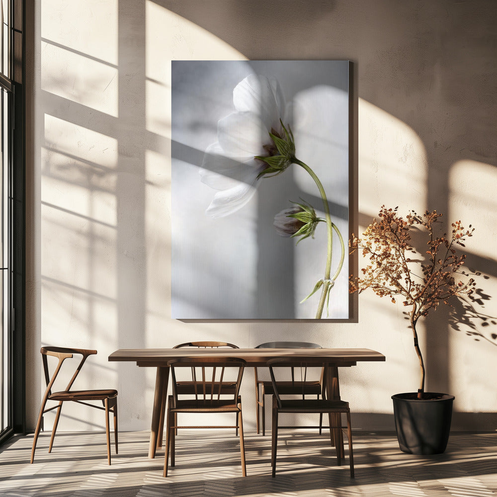 Heavenly Cosmos | Canvas