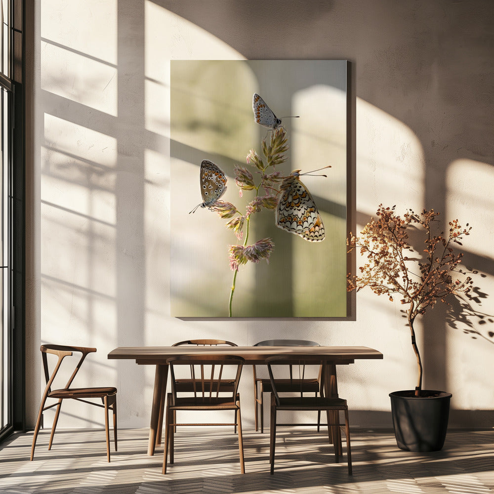 A kind of melting pot | Canvas