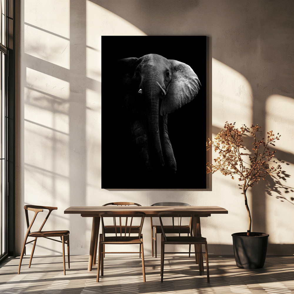 Elephant! | Canvas