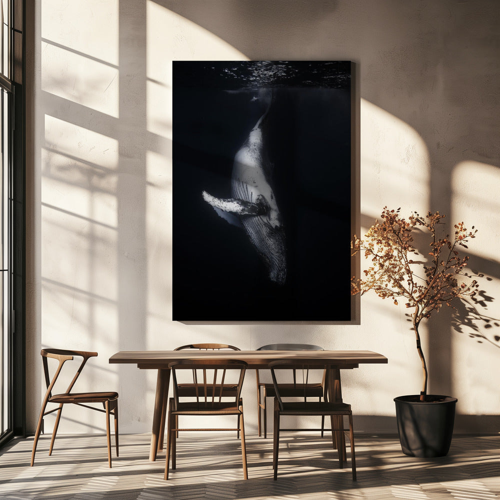 Black Whale | Canvas