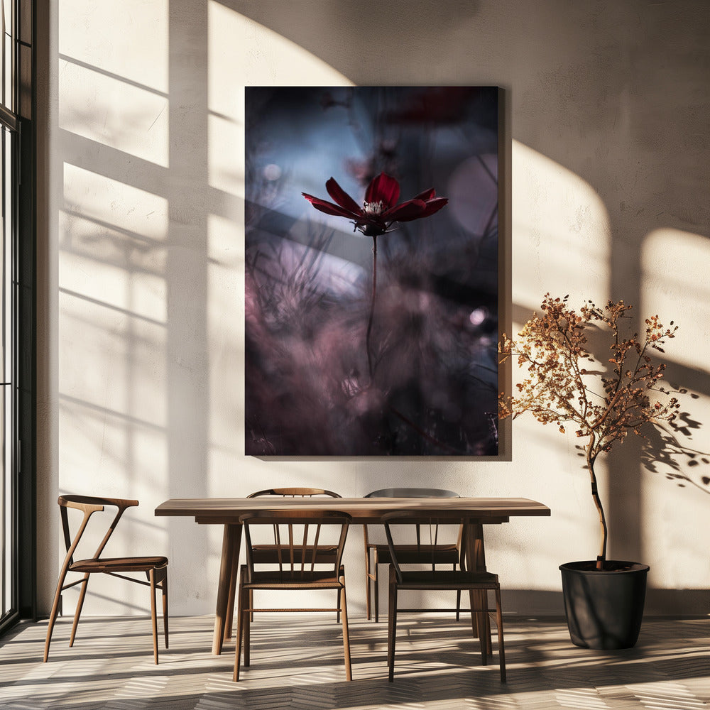 Tenue de soirÃ©e | Canvas