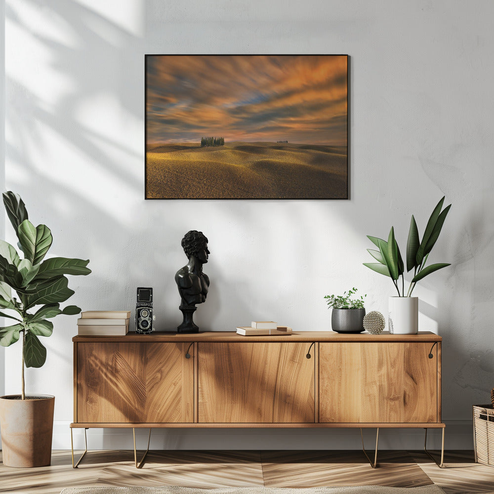 Cypresses... | Poster