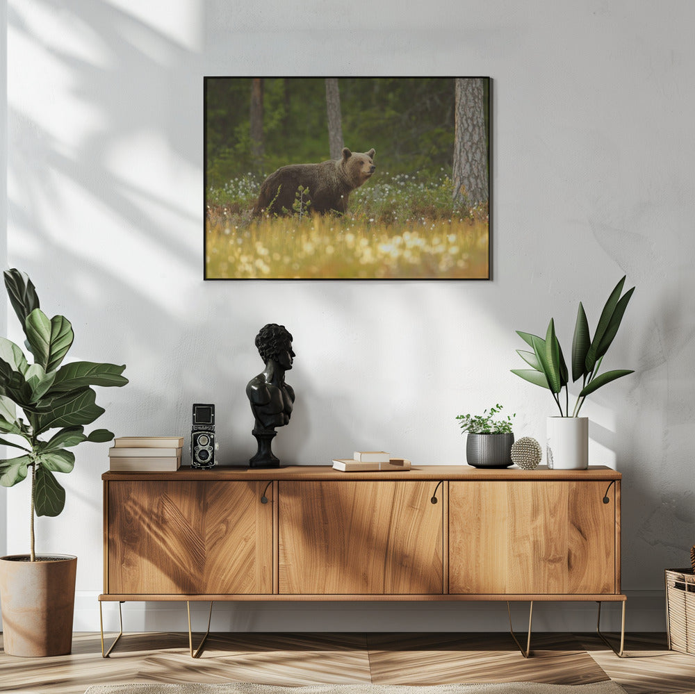 Brown Bear | Poster